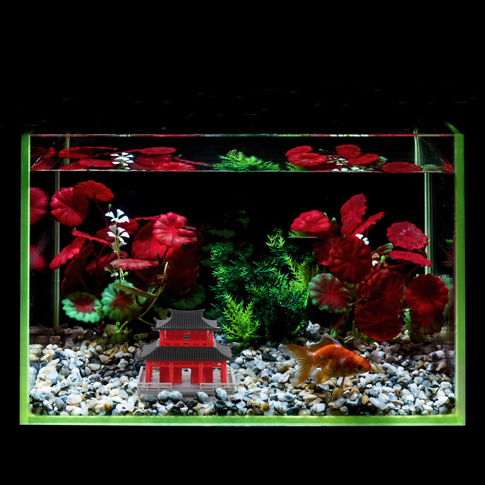 Китайский Древний Павильон, Че – обзор и цена Aquarium