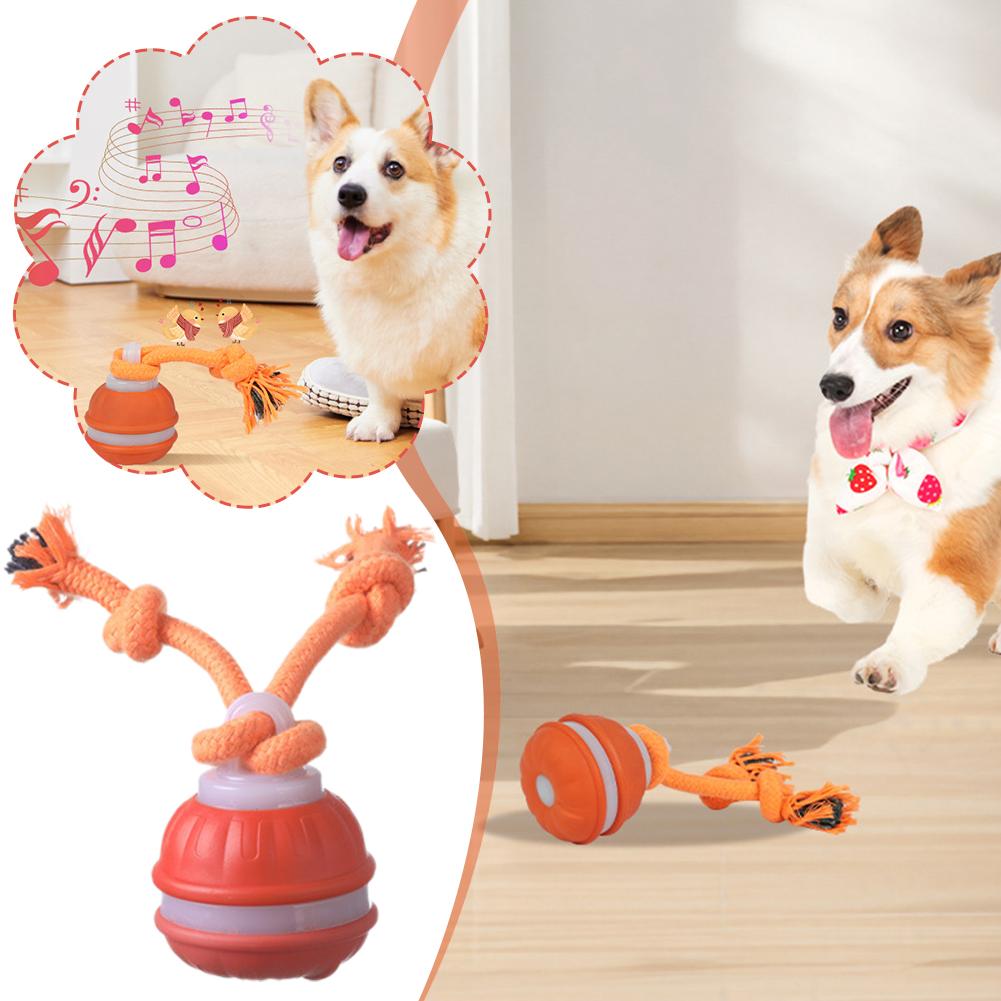 Умный перезаряжаемый мяч для с – обзор и цена Automatic Moving Dog Ball