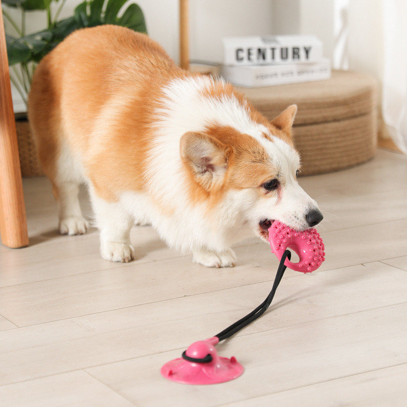 Игрушки для собак, силиконовая – обзор и цена Suction Cup Dog Tug Toy