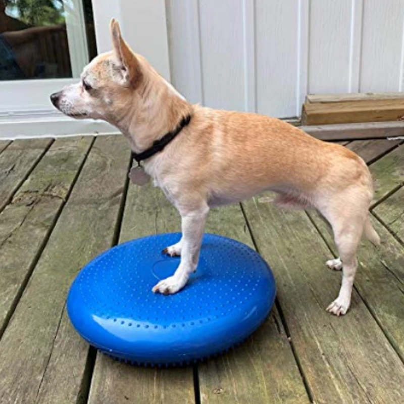 Тренировочное средство для соб – обзор и цена Flying Disc Dog Training Toy