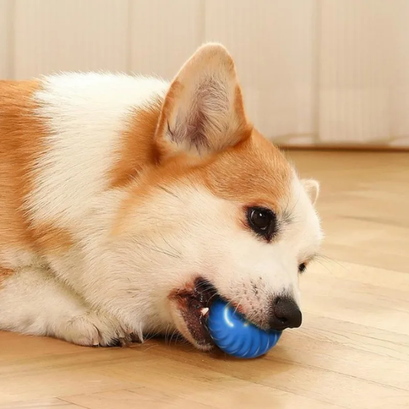 Игровой мяч для собак SS с авт – обзор и цена Automatic Moving Dog Ball