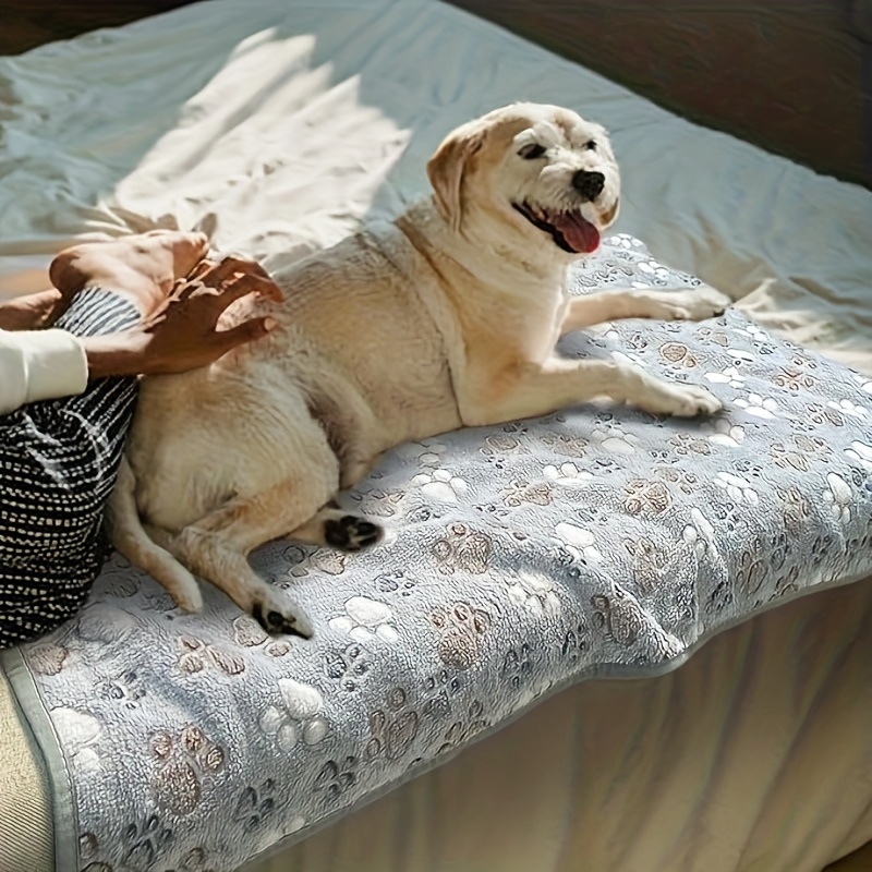 Уютное полотенце для питомцев, – обзор и цена Pet Beds