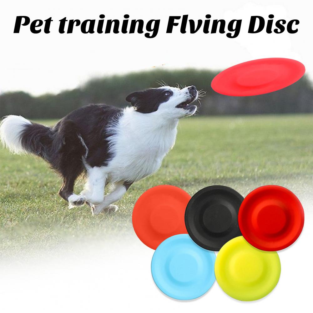 Детская игрушка для животных,  – обзор и цена Flying Disc Dog Training Toy