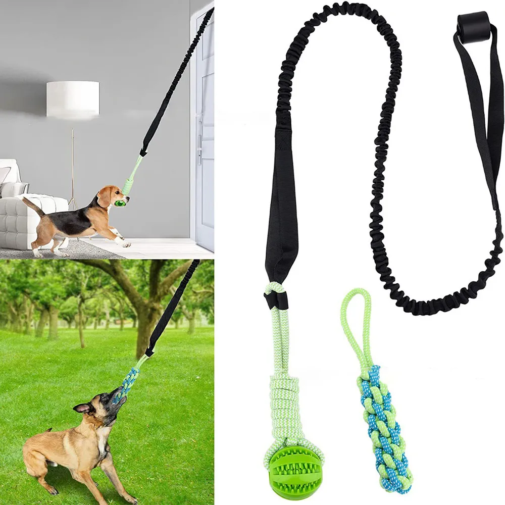 Интерактивная игрушка для соба – обзор и цена Suction Cup Dog Tug Toy
