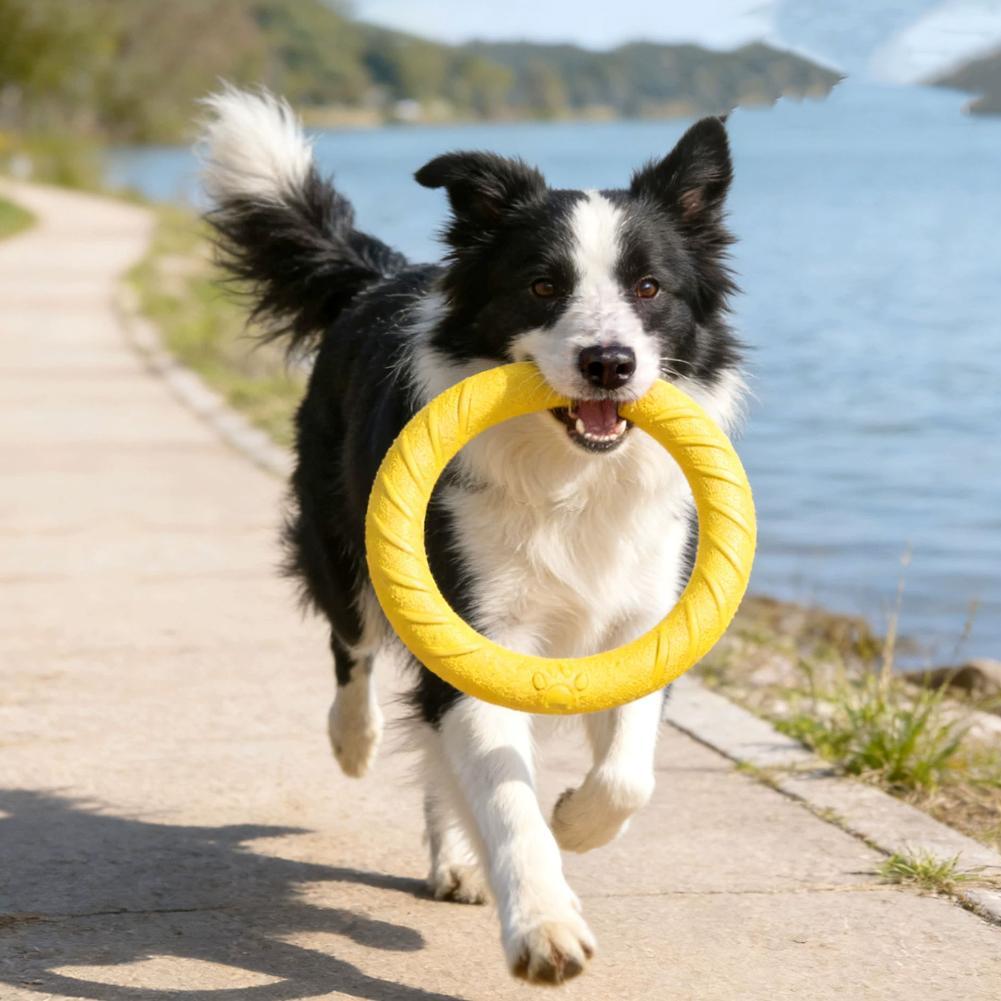 Игрушки-кольца для собак: проч – обзор и цена Indestructible Dog Chew Toy